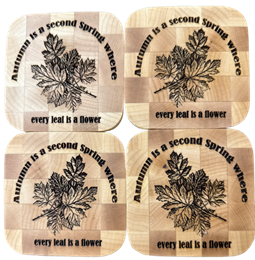 Seasonal Coasters - Autumn